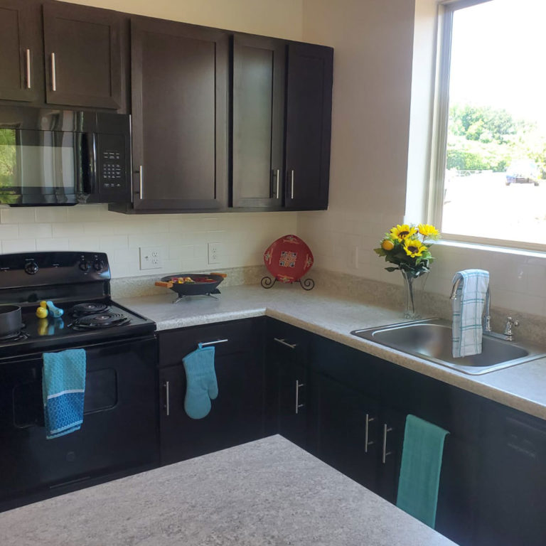 kitchen at Gardenside at The Villages of East Lake apartments in Atlanta