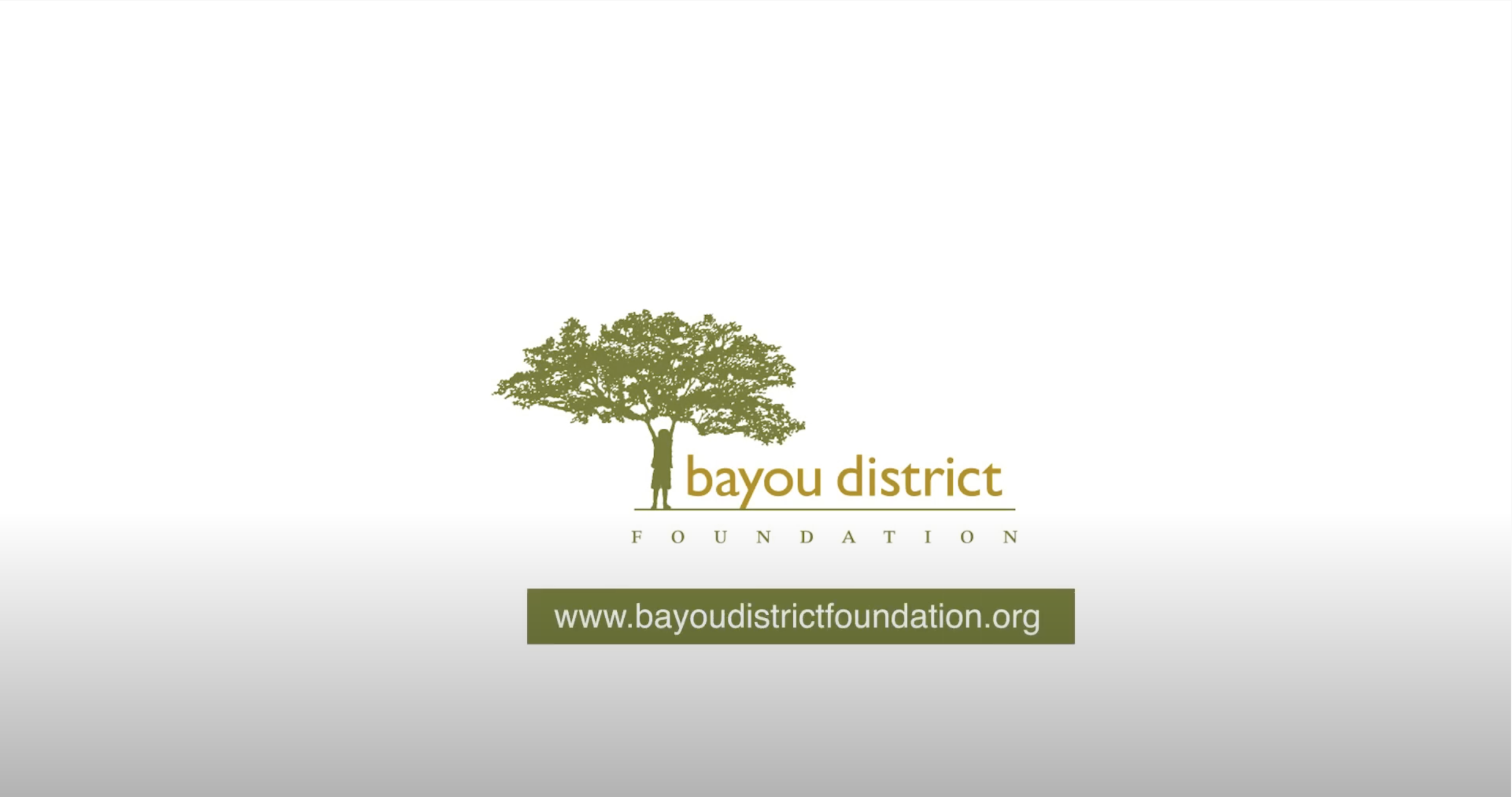 Bayou District Foundation Logo