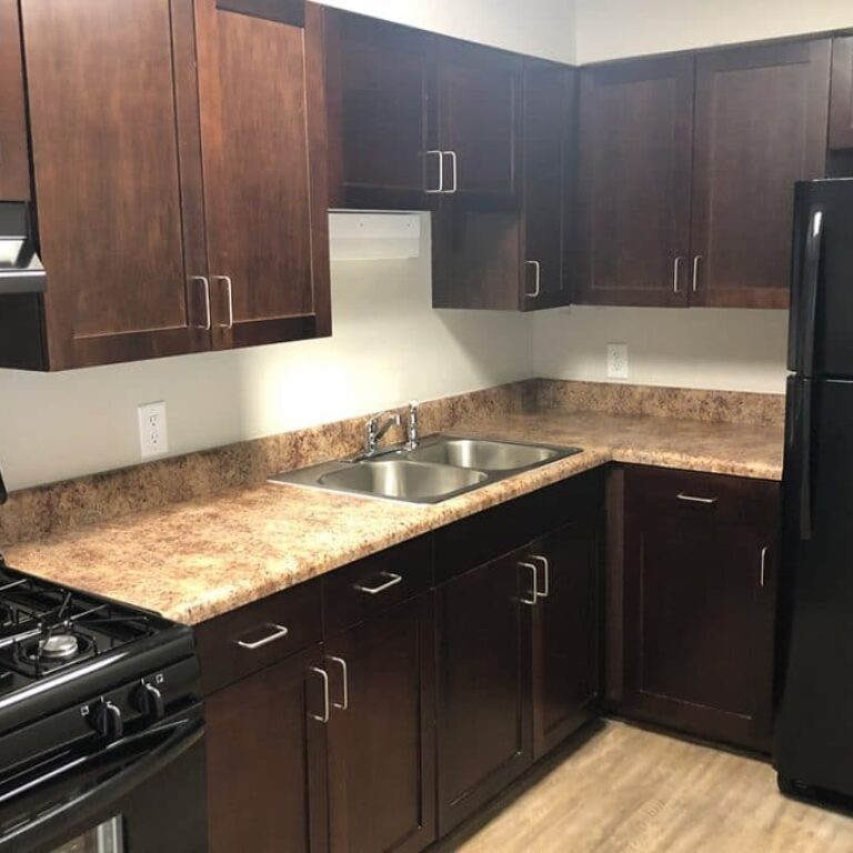 photo of kitchen at Capitol Vanira Assisted Living Apartments in Atlanta Georgia