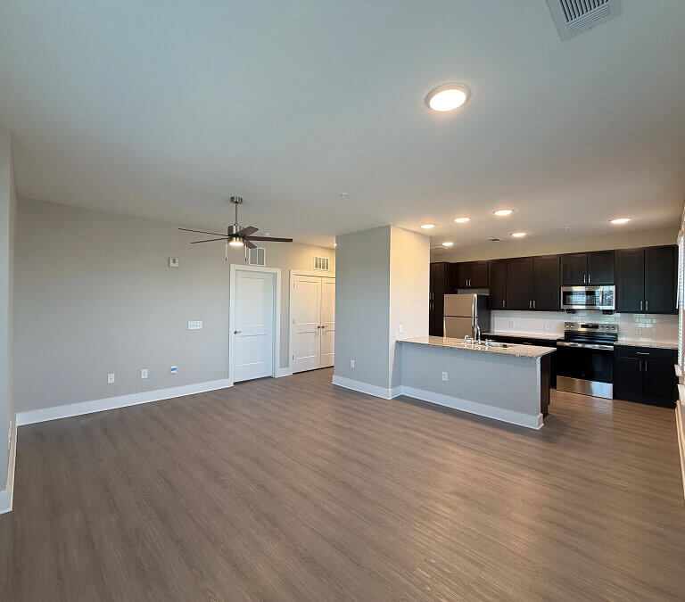 Spacious apartment living area with open kitchen and wood flooring