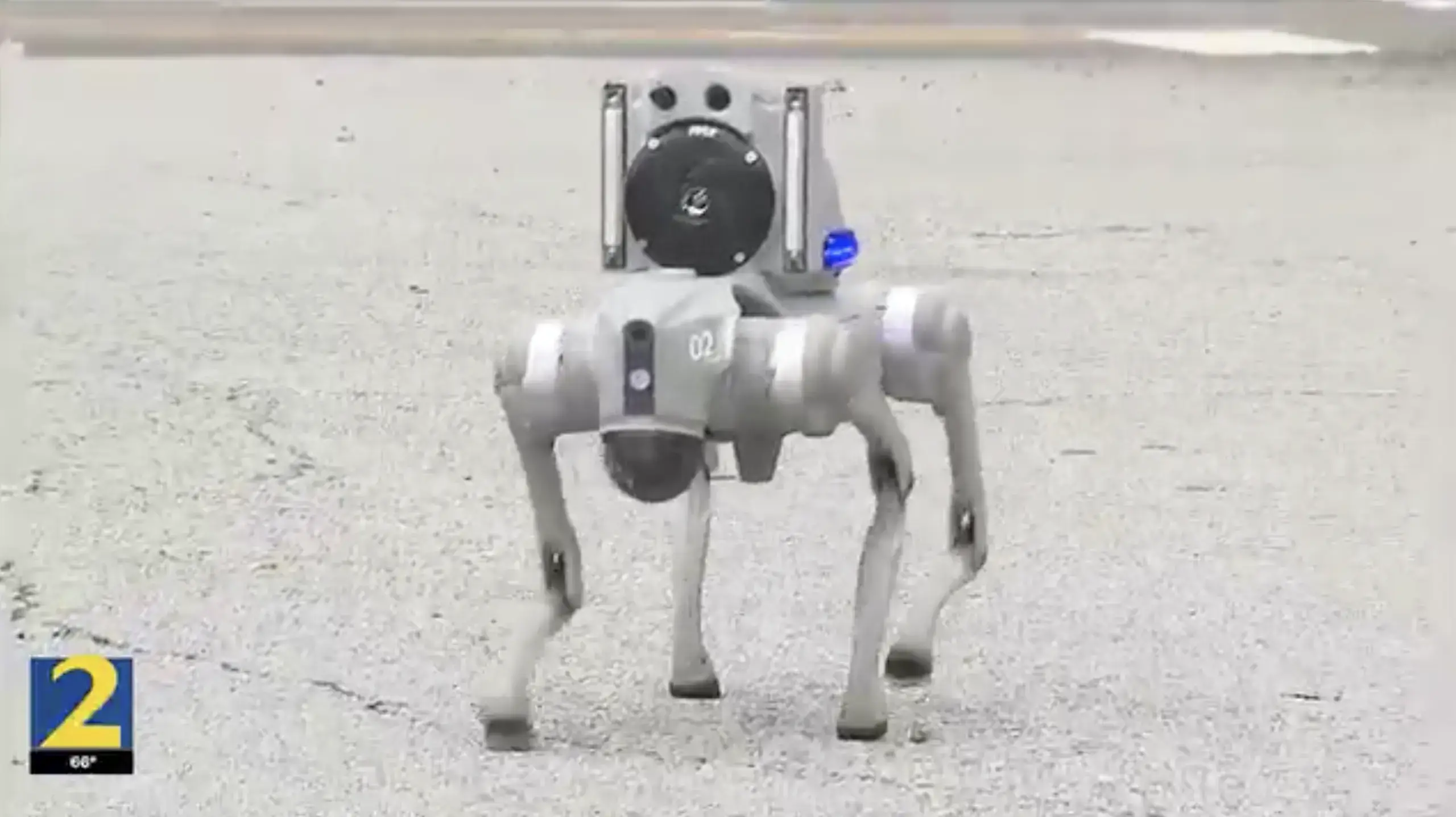 Robotic security dog made of metallic alloy and standing on all fours on a paved surface
