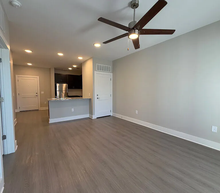 Spacious apartment living area with open kitchen and wood flooring