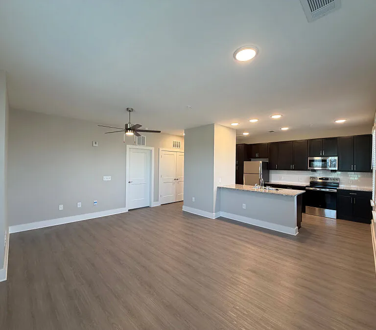 Spacious apartment living area with open kitchen and wood flooring